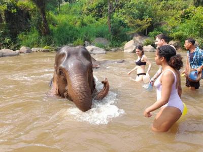 Paola and friends | Chiang Mai Trekking | The best trekking in Chiang Mai with Piroon Nantaya